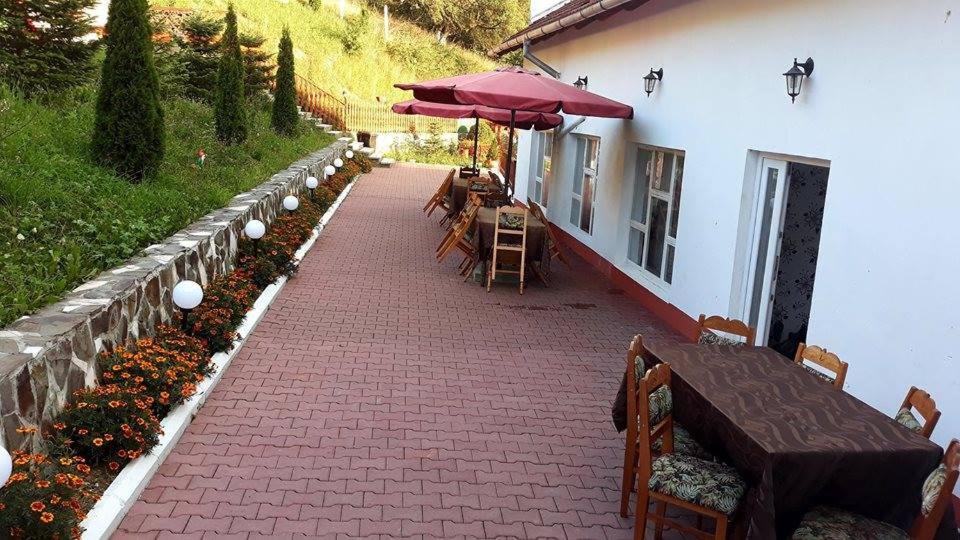 Pensiunea Tinelu Brasov Săcele Zewnętrze zdjęcie
