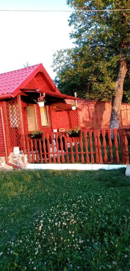 Pensiunea Tinelu Brasov Săcele Zewnętrze zdjęcie